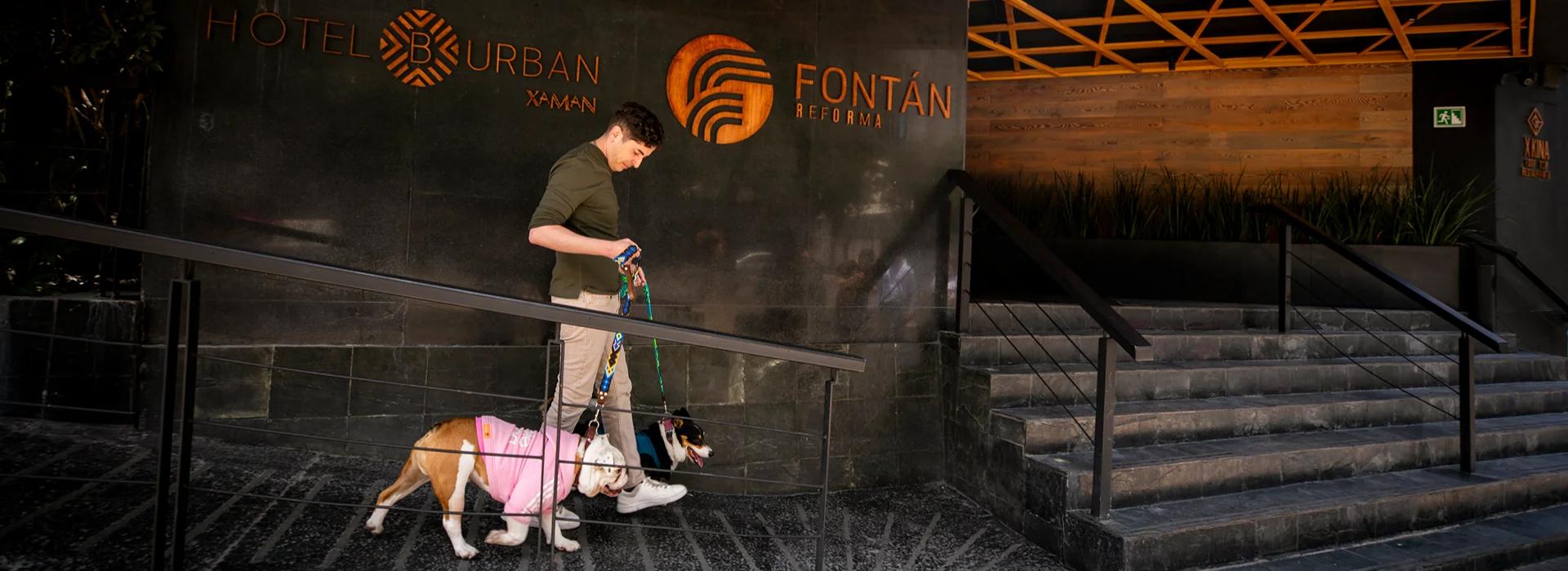 Hotel B Urban Xaman Mexico city Hotel B Urban Xaman Mexico city